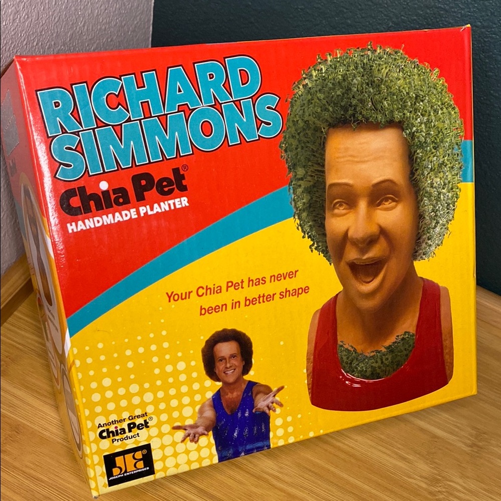 Richard Simmons Chia Pet Handmade Planter